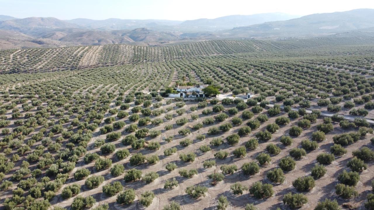 Casa De Familia Cortijo La Cubertilla Fuente-Tojar Ngoại thất bức ảnh